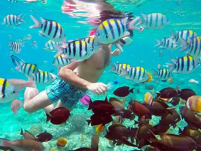 Person snorkeling surrounded by a large school of colorful tropical fish.