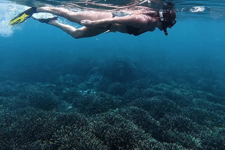 Person beim Schnorcheln über einem weitläufigen Korallenriff in klarem blauem Wasser.