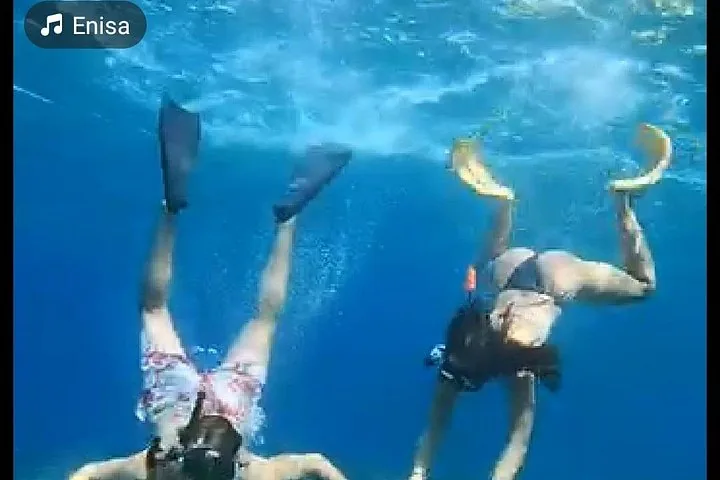 Zwei Menschen beim Schnorcheln unter Wasser, von hinten gesehen, mit gelben Flossen.